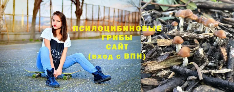 где купить наркоту  Уфа  Псилоцибиновые грибы Psilocybe 